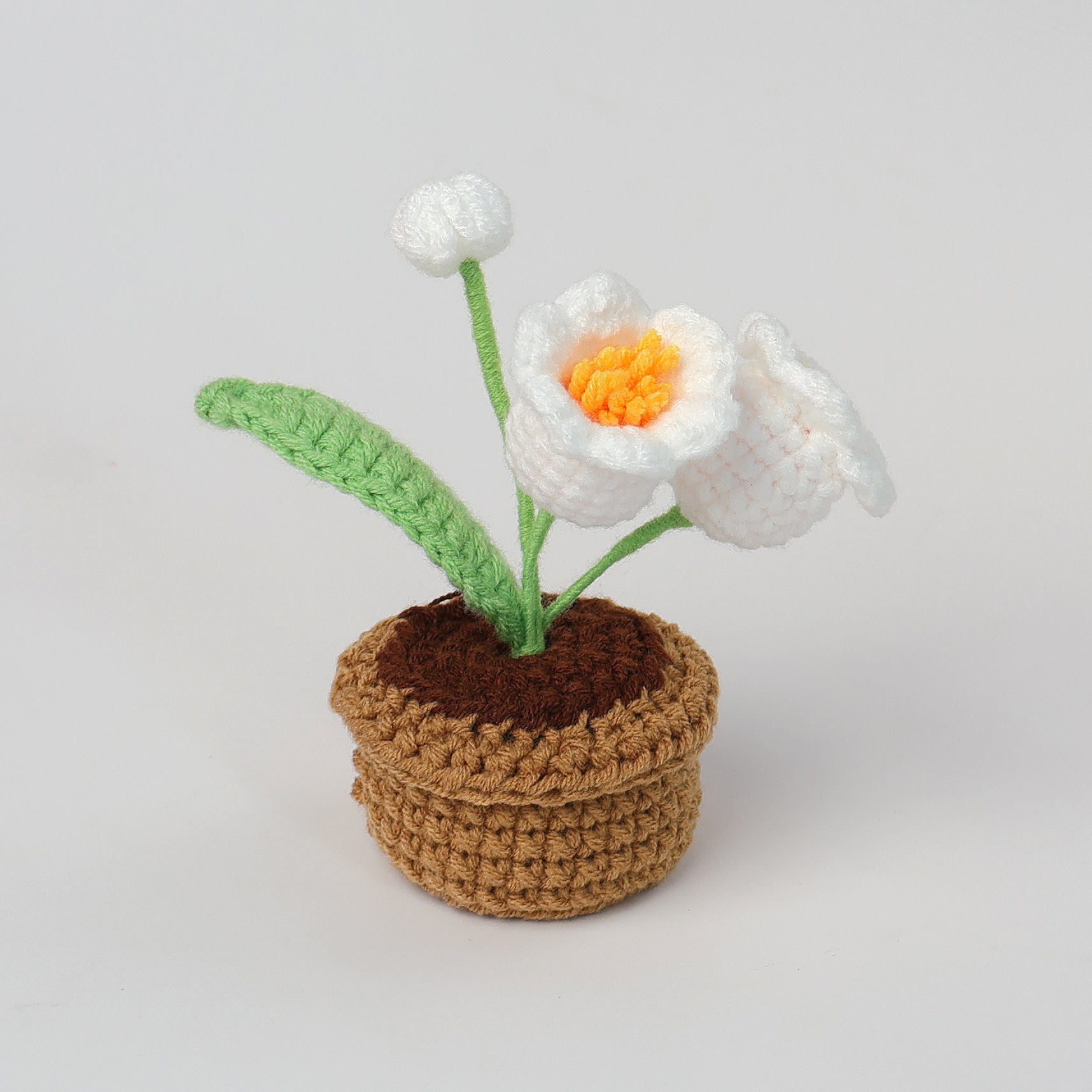 Planta de anémona blanca en maceta