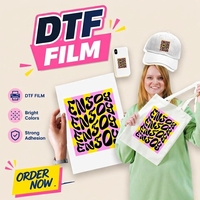 Film de transfert thermique DTF pour vêtements - Mat simple/double haute température, taux de transfert de 99 %, matériau PET