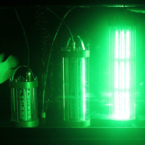 Đèn Câu Cá 500W Ocean Deep Sea Bluefin Cá Hồi Cá Thu Hút Ánh Sáng Trắng 1000W Bắt Cá Đèn - Product Image 3