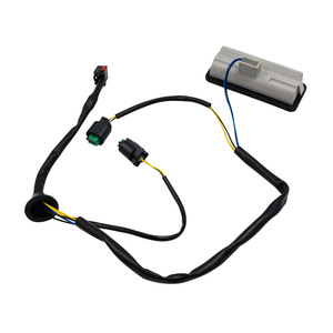 Interruptor de Puerta Trasera para Land Rover Freelander 2, LR020997, Repuesto para Apertura de Maletero - Product Image 5