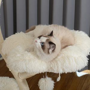 Blumen kratz baum Klettergerüst Baumhaus Moderner Luxus turm Kratz baum Kratz bäume & Kratzer Schmiedeeisen Kratz baum - Product Image 4