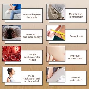 2026 <span class=keywords><strong>High</strong></span> Level PU Lederen Verre Infrarood Sauna Koepel 3 Zones Besturing Spa Koepel voor Gewichtsverlies - Product Image 3