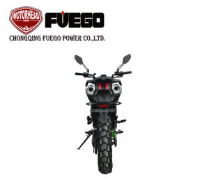 ผู้จัดจำหน่ายรถมอเตอร์ไซค์ TEKKEN <span class=keywords><strong>ADV</strong></span> <span class=keywords><strong>250</strong></span> Security High Speed 250cc <span class=keywords><strong>ADV</strong></span> Adventure รุ่น FUEGO TEKKEN - Product Image 6