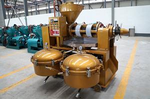 Estrattore di Olio per Senape, Soia e Semi di Girasole con Capacità 200-300kg/h, Mulino per Olio di Senape/Estrattore di Olio a Ciclo Continuo - Product Image 2