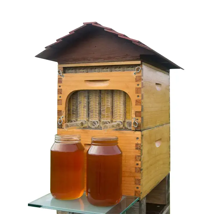 Chinese Wax Coated China Fir Automatic Self-Flowing Beehive 7 Auto Frames Apiculture Farms Beekeeping Wood Material New