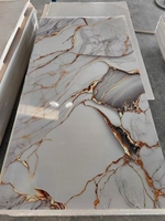 Panneaux muraux décoratifs en PVC UV effet marbre pour cuisine et salle de bain – Vente chaude en Chine