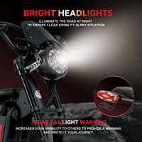 Vélo électrique puissant avec pneus 20x4.0, moteur 60V 2000W, 7 vitesses, capacité de charge de 170 kg, fourni par l'usine, moto électrique Ducati