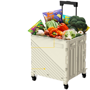 Chariot pliant polyvalent en plastique avec sac et capacité de 10 kg, chariot à main pratique pour les courses et plus encore - Product Image 4