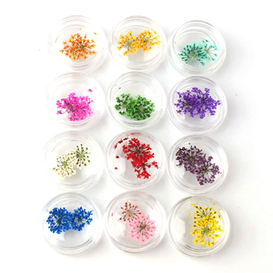 Adornos Nail art para decoración de <span class=keywords><strong>uñas</strong></span>, <span class=keywords><strong>flores</strong></span> de encaje secas prensadas naturales de varios colores - Product Image 5