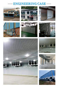 <span class=keywords><strong>ตู้</strong></span>แช่เย็นตู้แช่เย็น20ฟุตพร้อมประตูห้องทำความเย็นมือ<span class=keywords><strong>สอง</strong></span> - Product Image 6