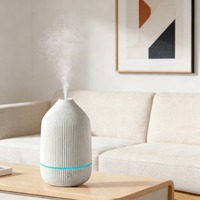 Diffuseur d'huiles essentielles silencieux à ultrasons USB, humidificateur à ions négatifs, aromathérapie, protection contre l'ébullition à sec, cadeau pour la maison