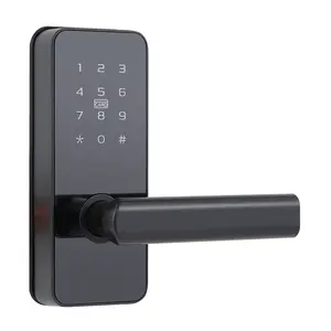 Serrure électronique antivol Serrure à carte de porte numérique intelligente Serrure de porte automatique pour maison intelligente