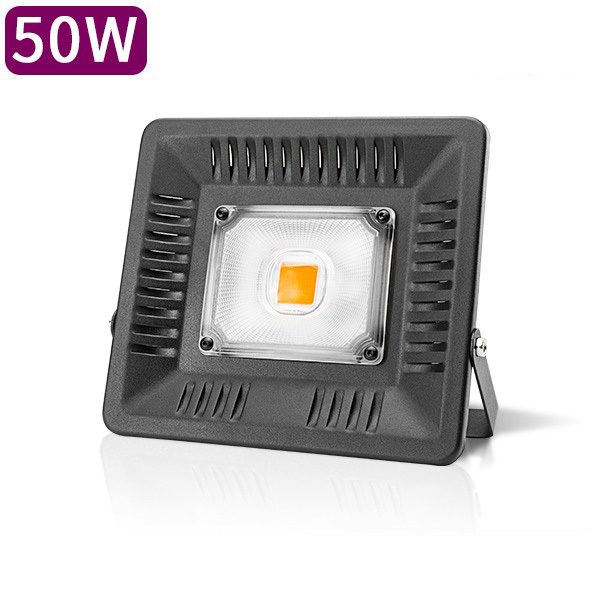 50W