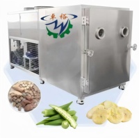 Industriële 50Kg 100Kg 500Kg Capaciteit Sublimatie Vriesdroger Fruit Vriesdroogmachine