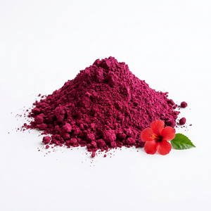 Poudre d'hibiscus de qualité supérieure disponible en vrac à prix avantageux pour la coloration et l'après-shampoing capillaires - Product Image 1