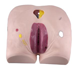 Canggih Decubitus Perawatan Model Decubitus Perawatan Luka Model - Product Image 1