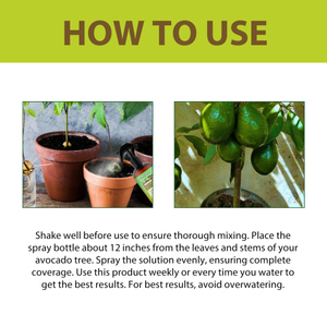 MoonSpry Premium 3-1-2 fertilizante líquido <span class=keywords><strong>en</strong></span> aerosol para <span class=keywords><strong>aguacate</strong></span>, maceta, Árbol frutal, crecimiento <span class=keywords><strong>de</strong></span> raíces del cabello, cuidado nutricional - Product Image 5