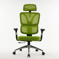 Hauteur du dossier réglable, mécanisme de verrouillage à trois niveaux, base en aluminium à cinq branches, accoudoirs 4D, chaise ergonomique en mesh vert