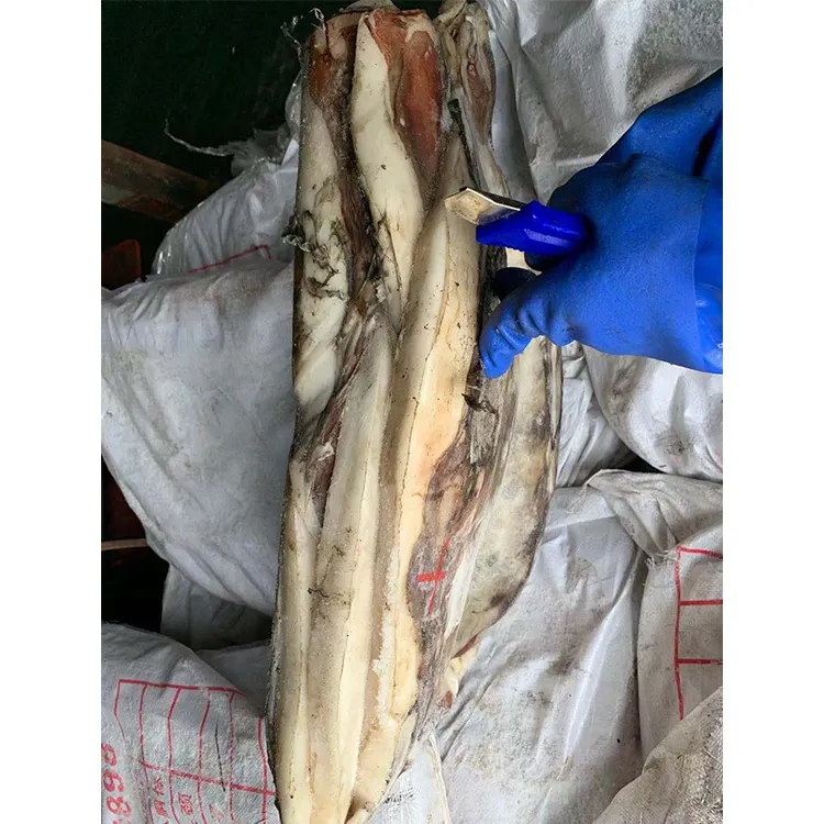 Venta caliente SANFENG SEAFOOD Frozen Peru Skin en filete de calamar gigante para exportación