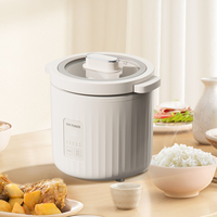 Cuisinière à riz électrique mini 1 tasse 1 litre, machine à soupe, cuisinière électrique en céramique 110V, mijoteuse, cuisinière à riz coréenne