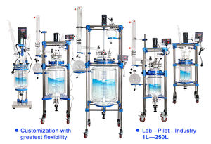 Réacteur en verre avec soupape de surpression pour la sécurité - Product Image 2