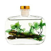 Diffuseur de parfum naturel longue durée sans alcool pour hôtel, avec fleurs séchées, 100 ml, prêt à être expédié, avec emballage
