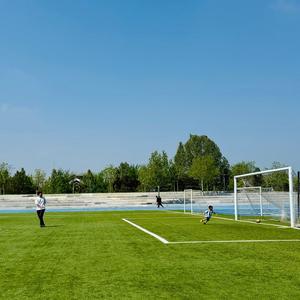 <span class=keywords><strong>Mini</strong></span> terrain de football à cinq côtés fausse herbe pas besoin de remplir aucun entretien requis conception absorbant les chocs <span class=keywords><strong>stade</strong></span> clôturé - Product Image 5