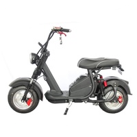 Scooter électrique Citycoco à pneus larges de 10 pouces, best-seller au Brésil, 1000W, mini scooter électrique haute vitesse, empattement de 127 cm, charge maximale de 200 kg