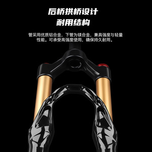 Fourche avant de vélo de montagne Bolany 20 pouces avec suspension pneumatique et réglage du rebond, axe QR - Product Image 4