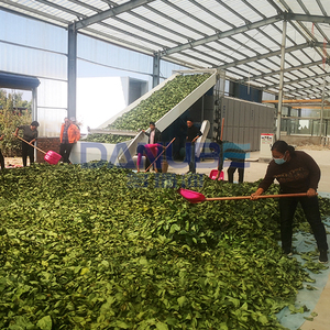 Machine de séchage d'herbes à technologie de pointe, sécheuse à bande maillée, ligne de nettoyage et de séchage des feuilles d'Eucommia Ulmoides - Product Image 2