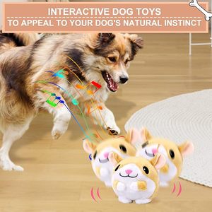 Jouet interactif pour chien, peluche animée avec modes d'enregistrement et de musique, balle interactive pour chien qui saute, qui couine et qui vibre - Product Image 2