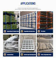 Système de rayonnage empilable avancé, revêtu de peinture en poudre, pliable, pour entrepôt, stockage de pneus, logistique, centre de distribution