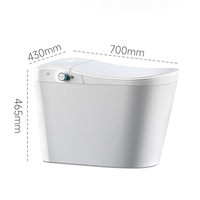 Offre Spéciale automatique ouvert Wc électrique Bidet toilettes Intelligent cuvette de toilette pied tactile capteur chasse d'eau une pièce toilette intelligente