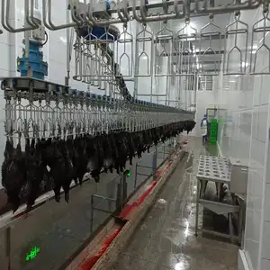 Automatic chicken plucking machine/halal poultry slaughter machine/chicken plucking machine