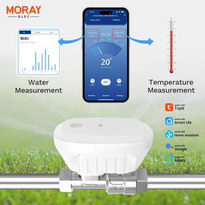 Moray ME220W 涂鸦智能生活APP阀门可调语音控制螺纹NPT/BSP水定时器智能水阀控制器 - Product Image 6