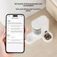 Nouvelle Fontaine à Eau et Distributeur Automatique de Nourriture pour Chat en Céramique et Acier, Détachable et Personnalisable, Fournitures d'Alimentation pour Animaux de Compagnie