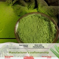 Poudre d'extrait de feuille de Pandan biologique de Hainan, colorée, lyophilisée, soluble dans l'eau, matière première naturelle pour la pâtisserie aux fruits et légumes