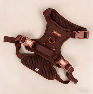 Groothandel Geen-Trek Hondentuig Tuig Borduurwerk Design Huisdier <span class=keywords><strong>Vest</strong></span> Tuig voor Kleine en Middelgrote Honden - Product Image 3