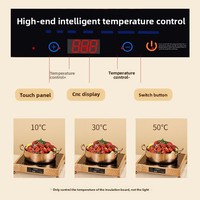 Chauffe-Plat Électrique Commercial de Luxe en Acier Inoxydable Or Rose, Station de Maintien au Chaud Écologique à Infrarouge pour Buffet