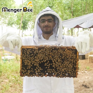 New Menger Bee Honeycomb Beeswax Foundation Deep Frame <b>Plastic</b> Wax <b>Sheets</b> 5.4mm Cell Size 2 Year Warranty Model BS-5 - Product Image 2