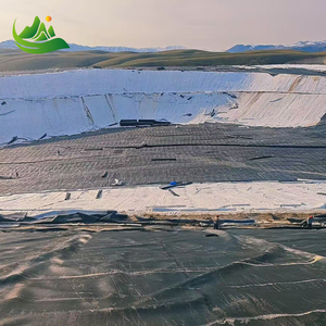 1 מ "מ 1.5 מ" מ 2 מ "מ hdpe geomembrane לידות אגמים בריכות בריכות השקיה - Product Image 2