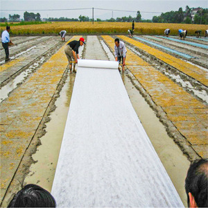 農業用植物霜防止フリース3% UV軽量不織布霜ブランケット作物カバー農業用不織布 - Product Image 6