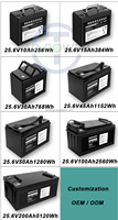 Batterie au lithium TPENERGY TP-LFP2445 24V 45Ah, remplacement pour batteries au plomb-acide, 5000 cycles, batterie solaire