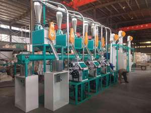 30T 50T Maïsmeelverwerkingsmachines/Maïs Maaltijdverwerkingsmachines Maïs Walsmachine - Product Image 3