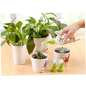Piccolo irrigatore a ugello per annaffiare fiori, piante in vaso, irrigatori per fiori, attrezzi da giardinaggio, irrigazione domestica per piante grasse - Product Image 2