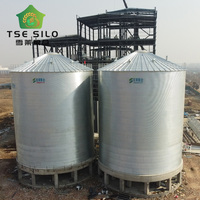 Sistema di Silos per Grano, Mais, Soia e Cereali con Zincatura a Caldo