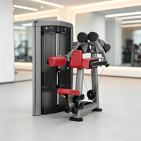 Máquina Comercial de Elevación Lateral con Pesas para Gimnasio, Equipo de Entrenamiento de Hombros y Deltoides