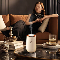 Diffuseur d'arômes professionnel sans eau rechargeable par type-C, pour voiture et maison, purificateur d'air, huile essentielle, 10 ml, batterie portable