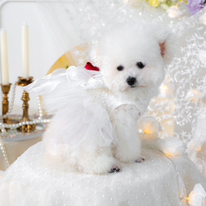 PETCIRCLE Ropa de Primavera/Verano para Perros y Gatos, Vestido de Novia Carola - Product Image 1