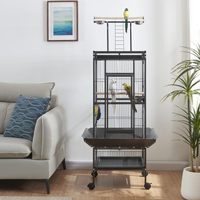 Cage à Oiseaux en Gros avec Aire de Jeux sur le Toit et Roues | Grande Volière pour Perroquets à Usage Domestique